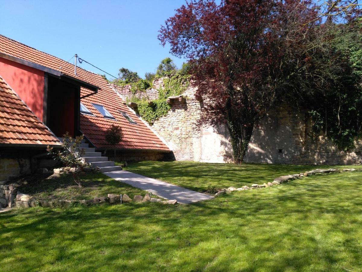 Joli Gite F2 Independant Avec Jardin Prive Руффак Экстерьер фото